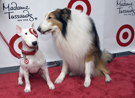 Bullseye (L), a Bull Terrier featured in Target Corporation's commercial campaigns, sits next to its wax figure during the figure's unveiling at Madame Tussauds New York October 12, 2006.