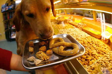 'Dog's Goodies' shop owner Janine Saraniti-Lagerin presents a selection of dog biscuits to her labrador Ronja in her dogs-only bakery in the western German city of Wiesbaden January 8, 2007. Saraniti-Lagerin, a former florist, sells her self-baked dog biscuits and fancy cakes to clients from many countries.