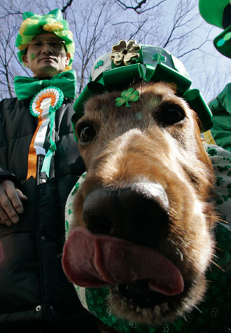A man and a dog participate in a parade to celebrate Saint Patrick's Day and to introduce Ireland to the Japanese in Tokyo March 18, 2007.