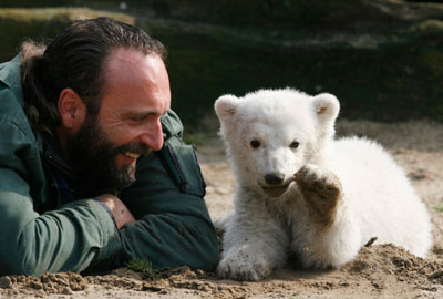Berlin zoo employee Thomas Doerflein plays with polar bear cub Knut during the bear's first presentation in Berlin zoo, March 23, 2007. Knut, born on December 5, 2006, had to be hand fed every four hours by Doerflein after its mother Tosca refused the baby. 