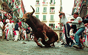 Pamplola Bull-running Fiesta（西班牙奔牛节）