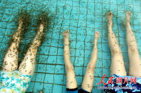 Hot spring fish therapy in Hainan