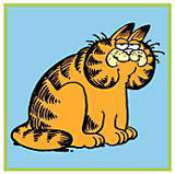 Garfield 2《加菲猫》2（精讲之二）