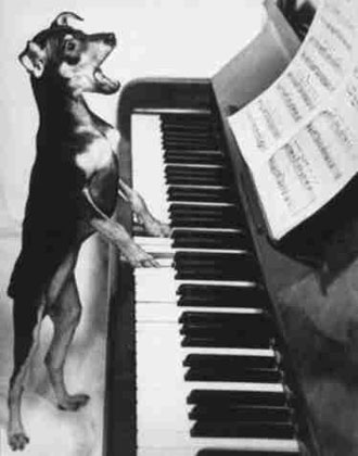 A talent pianist