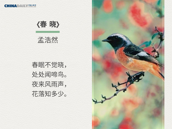 关于春天的五首中国古诗（组图）
