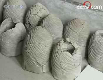 Ancient salt fields discovered in Shandong
