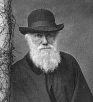 The father of evolution turns 200