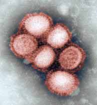 Panel warns of 90,000 possible US flu deaths
