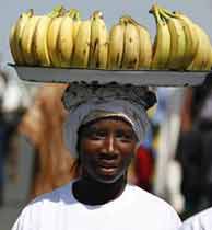Diseases threaten banana crops in Africa
