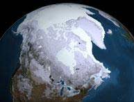 Survey: Arctic ice thinner than thought, melting fast
