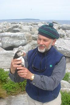 Bringing back the puffins