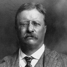 American History: Teddy Roosevelt wrestles powerful business interests