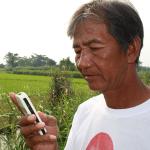 Phone call about fertilizer could be a big help to Philippine rice farmers