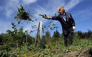 Housing plan threatens seed bank in Russia