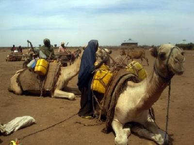 Oxfam: Somali drought could be as serious as 1992