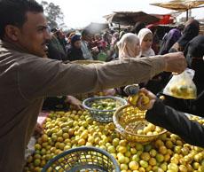 High food prices helped spark Egypt protests