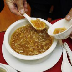 How sharks have paid the price for demand for shark fin soup