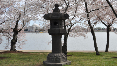 Washington hosts annual Japanese Cherry Blossom Festival
