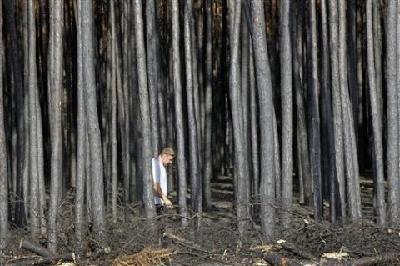 Mega-fires pose threat to environment, economy