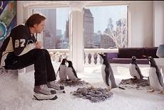 Unexpected gift teaches man life lesson in 'Mr. Popper's Penguins'