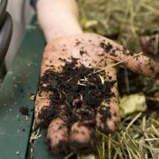 Putting worms to work to help your garden grow