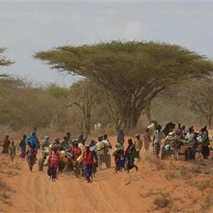 Experts: La Niña, climate change impact East African drought