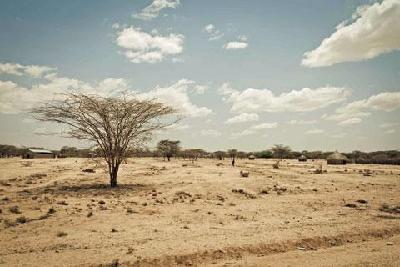 Drought threatens Turkana way of life in Kenya