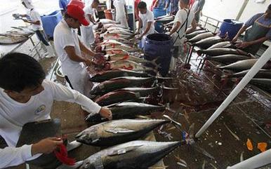 US, EU to increase fight against illegal fishing