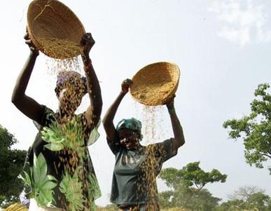 New report finds agriculture promotes African economic grrowth