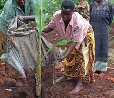 A call for equal rights for women farmers