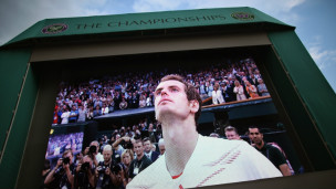 温网男子单打决赛收视率惊人