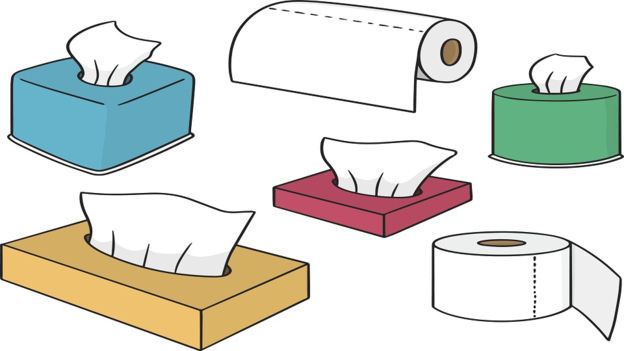 Different types of ‘tissue’ 不同种类的“纸巾”