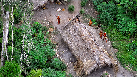Amazon Swine Flu 亚马逊土著部落受猪流感袭击