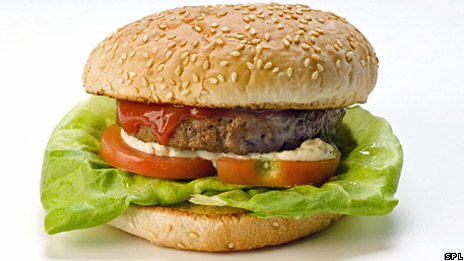 World's first lab-grown burger 世界首创实验室人造汉堡
