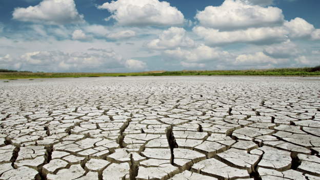COP21: The economics behind climate change 巴黎气候大会：气候变化背后的经济变化
