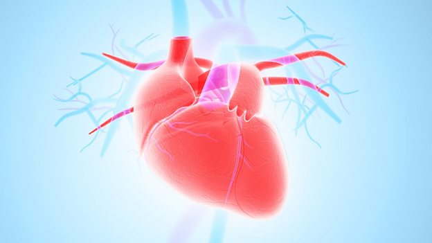Artificial intelligence predicts when heart will fail 人工智能程序可预测心脏衰竭