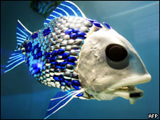 The London Aquarium 伦敦水族馆的机器鱼