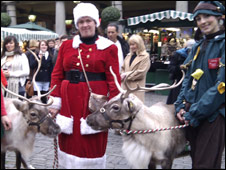 Reindeer Petting 庆圣诞之抚摸驯鹿