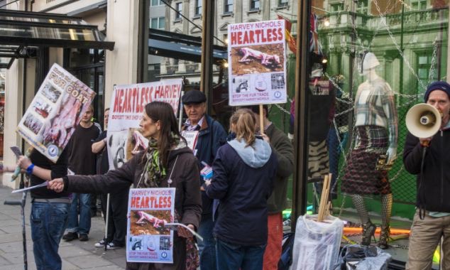 伦敦时尚：皮草的纠结