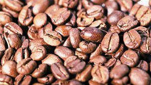 Coffee's popularity 对咖啡的热爱