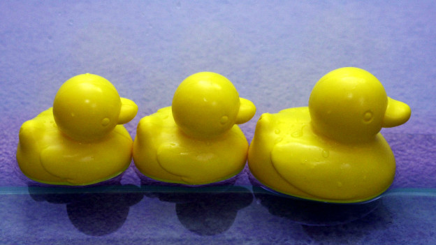 Ducks in a row 井井有条