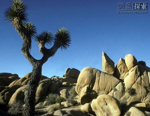 8大难以置信的岩石美景