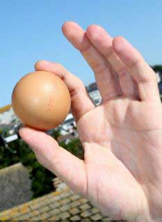 你见过圆形的鸡蛋吗？