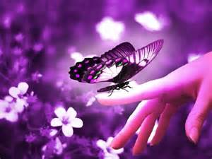 Happiness is a butterfly, which, when pursued, is always just beyond your grasp, but which ,if you will sit down quietly, may alight upon you.