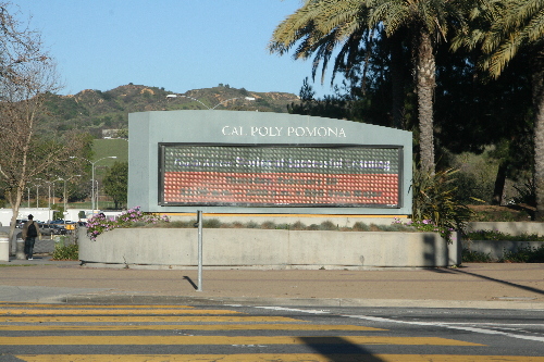 加利福尼亚大学Pomona分校