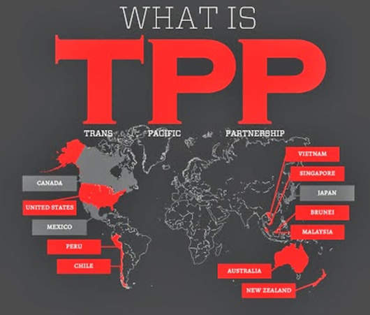 中方正积极研究参与TPP智利会议