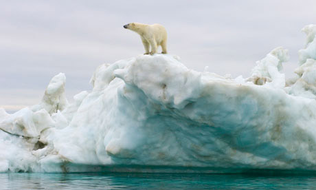北冰洋冰层大面积融化 70%是人为造成