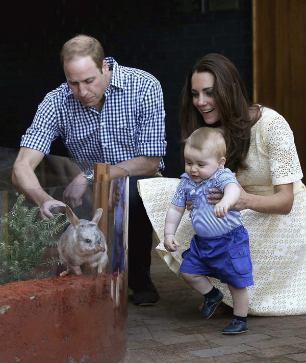 威廉凯特带乔治小王子游悉尼野生动物园