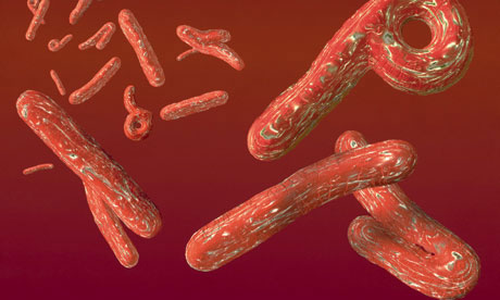 埃博拉病毒：你应该知道的12件事