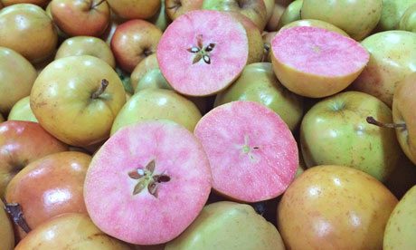 特易购超市惊现“奇葩”粉红苹果